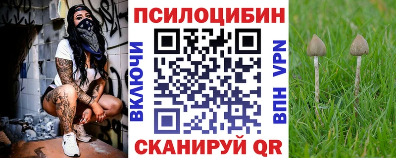 кракен tor  купить   Красноярск  Псилоцибиновые грибы мицелий 