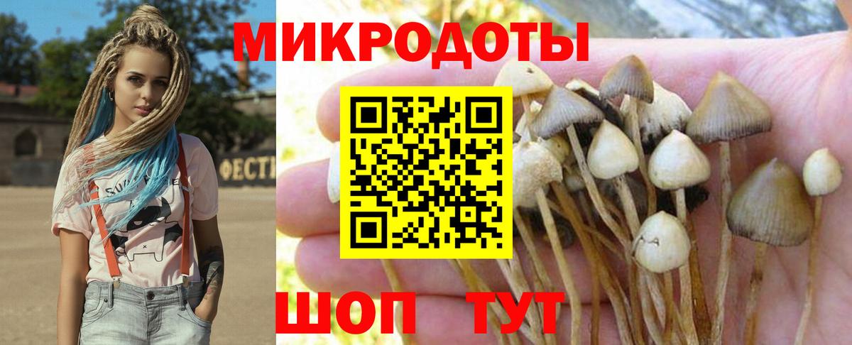 Галлюциногенные грибы Psilocybine cubensis  Вход с VPN  Галлюциногенные грибы мухоморы  Красноярск 
